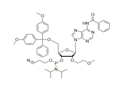Oligosynthesis Hongene