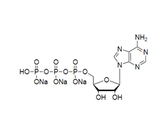 The main enzyme-buffering systems of mRNA Hongene