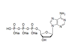 Molecular diagnostics Hongene